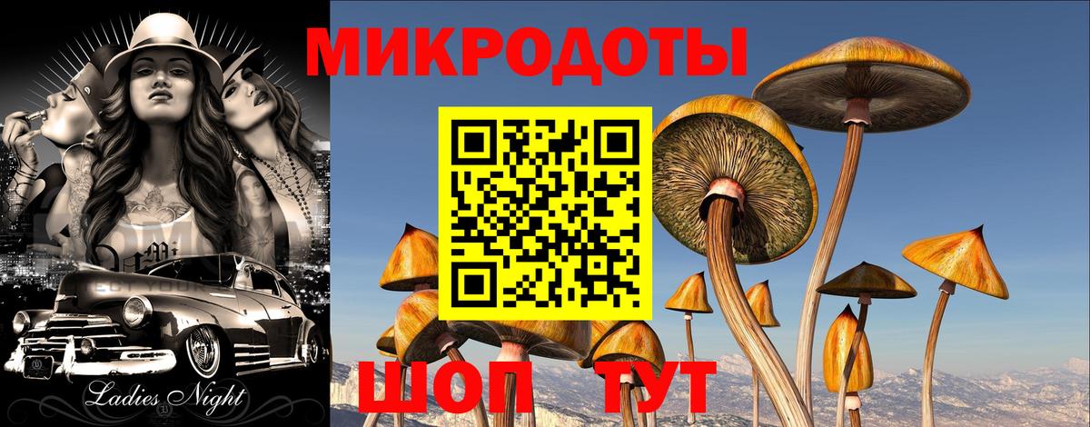 Славгород  Галлюциногенные грибы MAGIC MUSHROOMS  Вход с VPN 